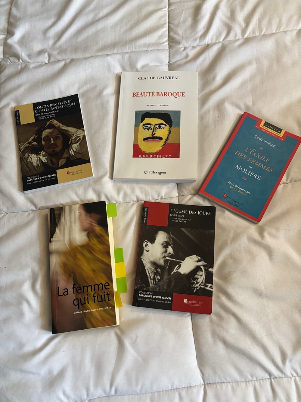 Set of Five French littérature Paperback Books - Multicolor Covers